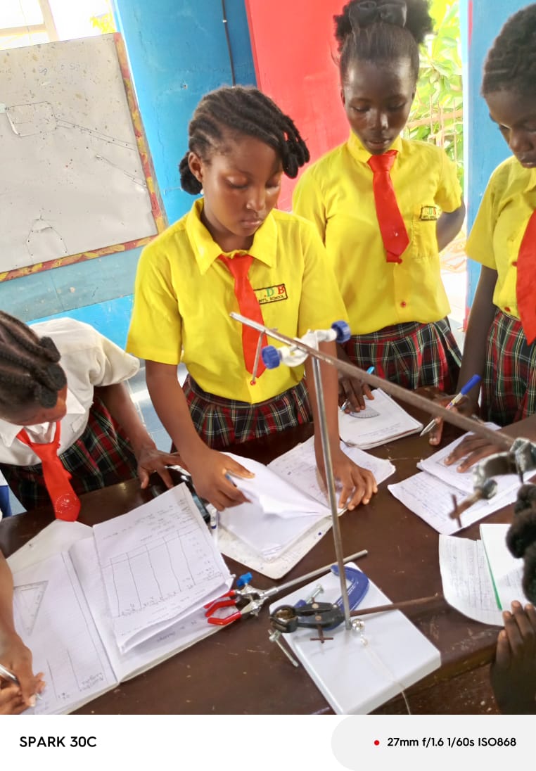 GDB Foundation Activities